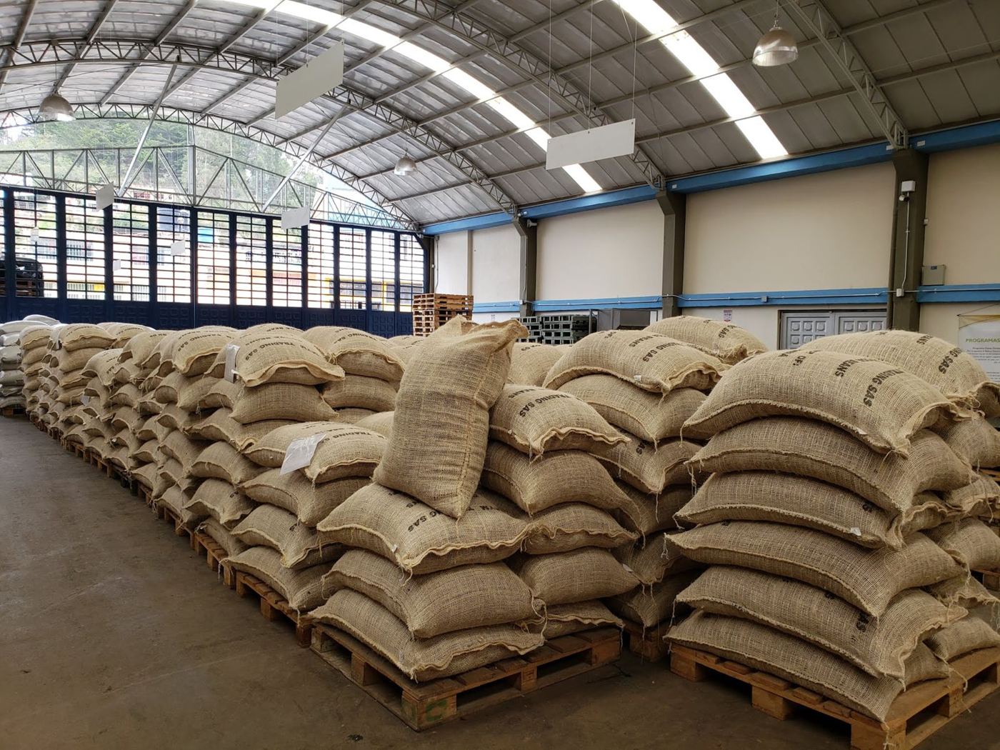 Sacos de cacao en grano apilados sobre estibas en la bodega